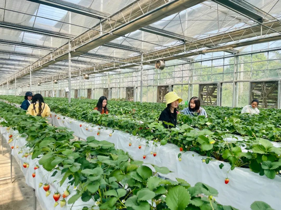 【婦女節(jié)】走進自然，遇見“莓”好